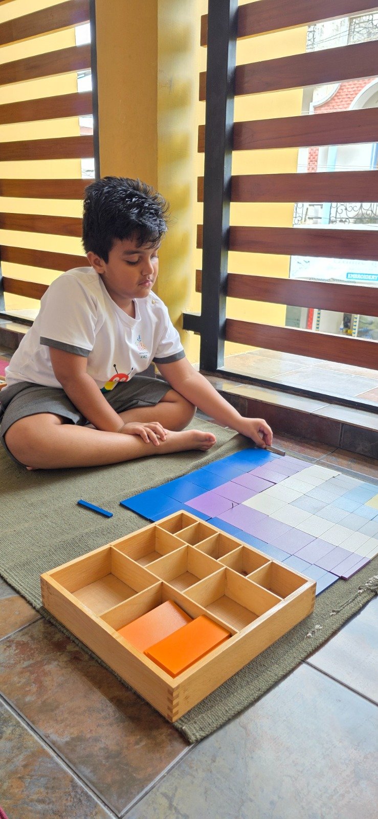 Montessori Elementary Program